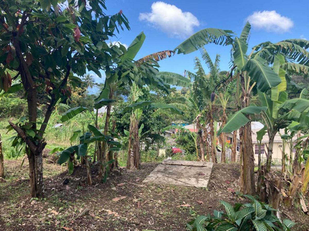 Stunning 2-Bed Apartment In Grand Roy Grenada Mount Nesbit エクステリア 写真