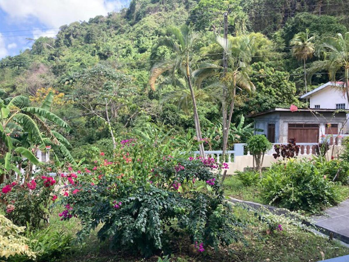Stunning 2-Bed Apartment In Grand Roy Grenada Mount Nesbit エクステリア 写真